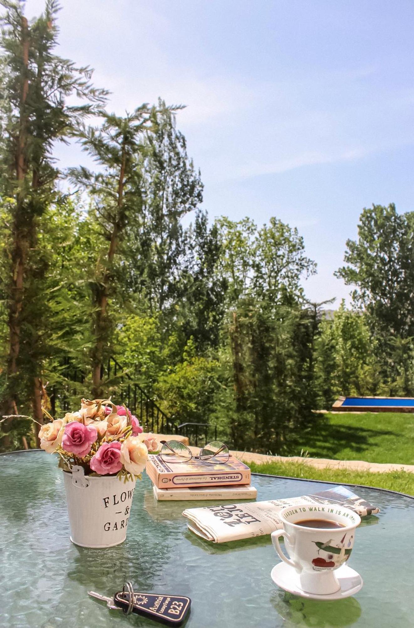 Austria Luxury Apartments, Faraya Hotel Dış mekan fotoğraf